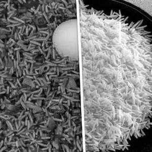 Egg Combination Rice