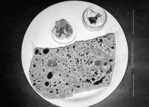 Gobi Paratha