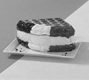 Triple Chocolate Waffle with Ice Cream
