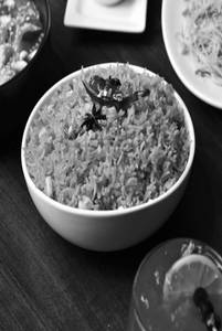 Burnt Garlic Fried Rice