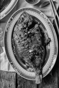Pan Fried Fish