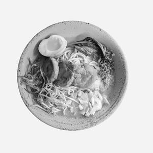 Tori Chicken Paitan