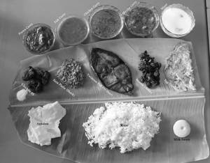 Non Veg Meal