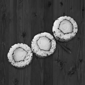 Avocado Sushi (5 pcs)