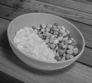 High Protein Bowl
