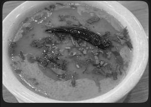 Kadhi