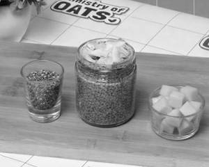 Mango Delight Chia Pudding
