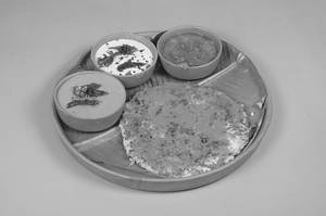 Ghee Kaaram Onion Tomato Uttapam