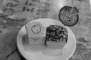 Choco Walnut Muffin