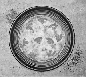 Cheese Margherita Pizza