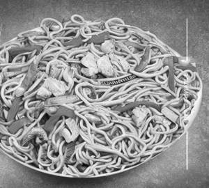 Chicken noodles