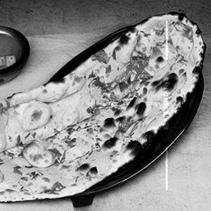 Gobi Naan