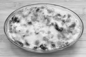 Exotic Veg Augratin
