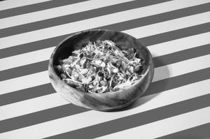 Tofu And Sunflower Greens Salad