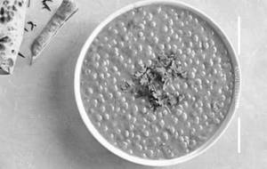 Plain Dal