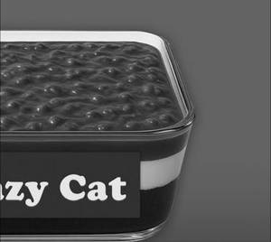 Lazy cat
