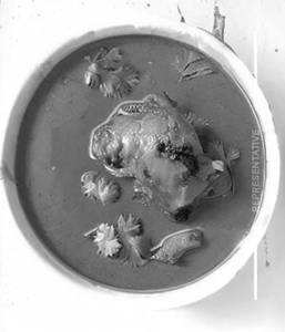 Chicken Xacuti