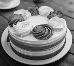 Choco Vanilla Cake