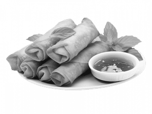 Veg Cigar Spring Roll