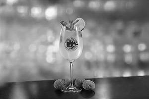 Litchi Mojito