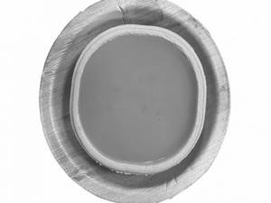 Aamras 500gm