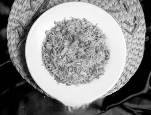 Schezwan Fried Rice