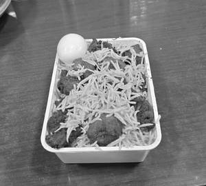Chicken 65 Briyani