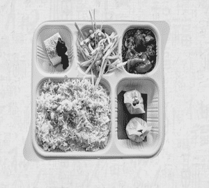 Non Veg Meal Box