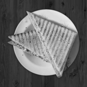 Fries Sandwich