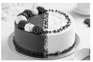 Chocolaty Vanilla Cake