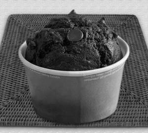 Choco chip muffin