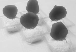 Sandesh [4 Pieces]