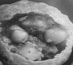 Pani puri