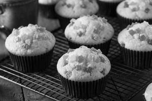 Tutti Fruity Muffin