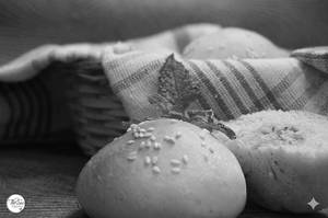 Paneer Buns