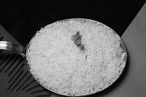 Steamed Rice