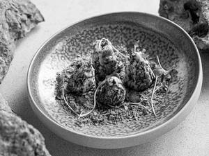 Gucchi Stuffed
