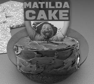 Matilda Bento Cake
