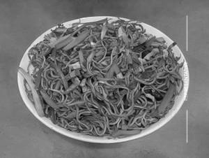 Hakka Noodle [Veg]