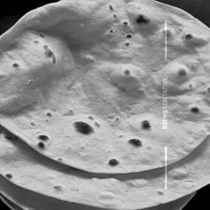 Tarka Roti