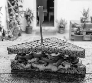 Cheese Grilled Sandwich