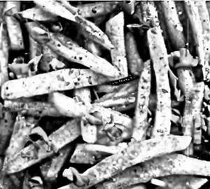 Chilly Garlic Fries