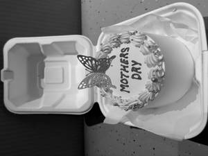 Mom Butterfly Bento