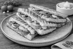 Veg Grill Sandwich