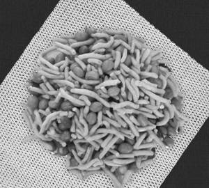 Payyoli Mixture 250 Gm