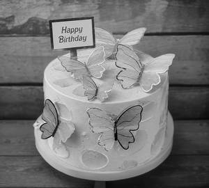 Butter Fly Cake 500G
