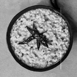 Special khichdi                                                                                                                                       