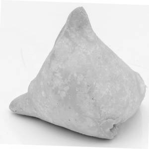Punjabi Samosa