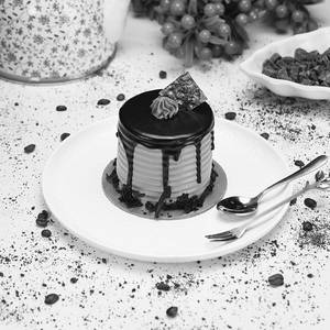 Chocolate Mouse Mini Cake