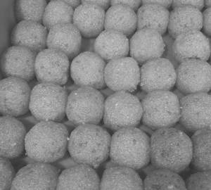 Dalda Moti Chur Laddu
